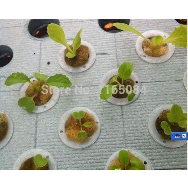 Planet Gates Garden supplies hydroponic seeds vegetables foam cubes pot for starting seed for hydroponics system2.3*2.3 (117PCS/lot).