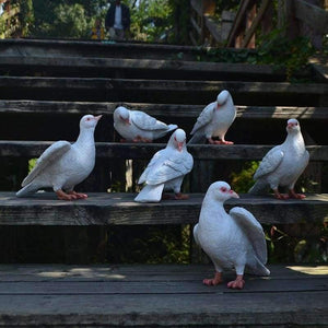 Planet Gates Garden Supplies Modeling Imitation pigeon Micro Landscape Gardening Supplies Accessories Garden Outdoor Patio Decoration