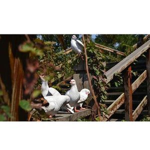 Planet Gates Garden Supplies Modeling Imitation pigeon Micro Landscape Gardening Supplies Accessories Garden Outdoor Patio Decoration