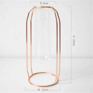 Planet Gates Garden Supplies Plum Decoration Modern Hanging Flower Plant Pots Glass Garden Supplies Wall Desk Table Decor Hang Planter Baskets Organizer