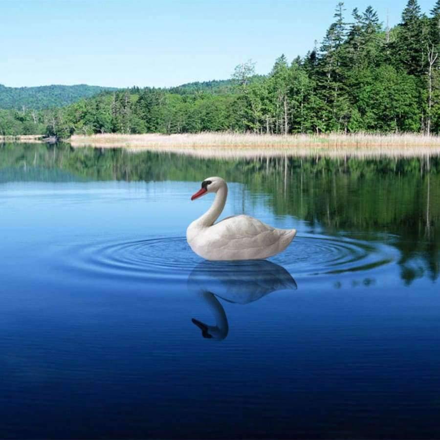 Planet Gates Garden Supplies Resin Realistic Imitation White Goose  Micro Landscape Gardening Supplies Home Garden Outdoor Patio Decoration