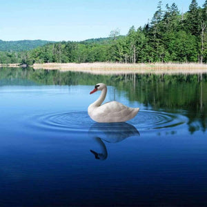 Planet Gates Garden Supplies Resin Realistic Imitation White Goose  Micro Landscape Gardening Supplies Home Garden Outdoor Patio Decoration