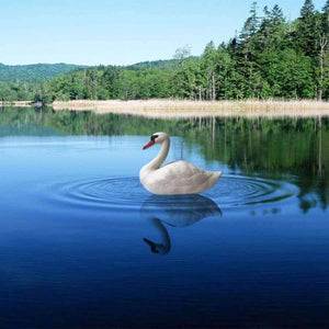 Planet Gates Garden Supplies Resin Realistic Imitation White Goose  Micro Landscape Gardening Supplies Home Garden Outdoor Patio Decoration