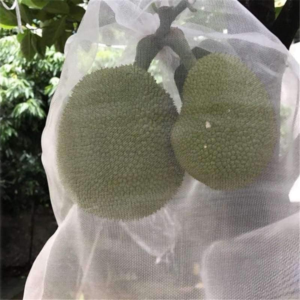 Planet Gates Garden Trellis Netting Anti Bird Mesh Organic Vegetable Insect Netting For Plants Fruit Tree Patio Outdoor Gardening Supplies