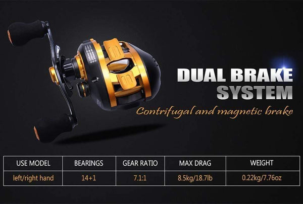 Planet Gates Gold / 14 / Left Hand, Russian Federation Baitcasting Reel Saltwater Carbon 14+1BB Baitcasting Reel Magnetic and Centrifugal Brake Dual Brake Reel High Speed 220g