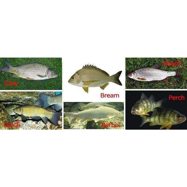 Planet Gates GOLDLITE Fishing Rod 3.6-7.2M 2/8 Power Hard Carbon Fiber Telescopic Fishing Rods for Stream Carp Fishing, 1 Rod+3 Tips