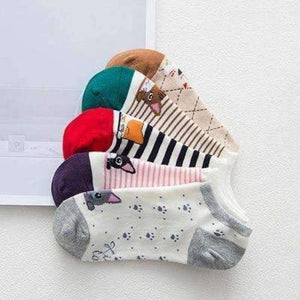 Planet Gates Gray / One Size 3 Pairs Anti-Slip Silicone Invisible Socks Women 2018 Sexy Fox Sneaker Summer Socks  Candy Color Happy Ankle Socks