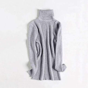 Planet Gates Gray / One Size Turtleneck Warm Women Sweater Autumn Winter Knitted Femme Pull High Elasticity Soft Female Pullovers Sweater Jumper