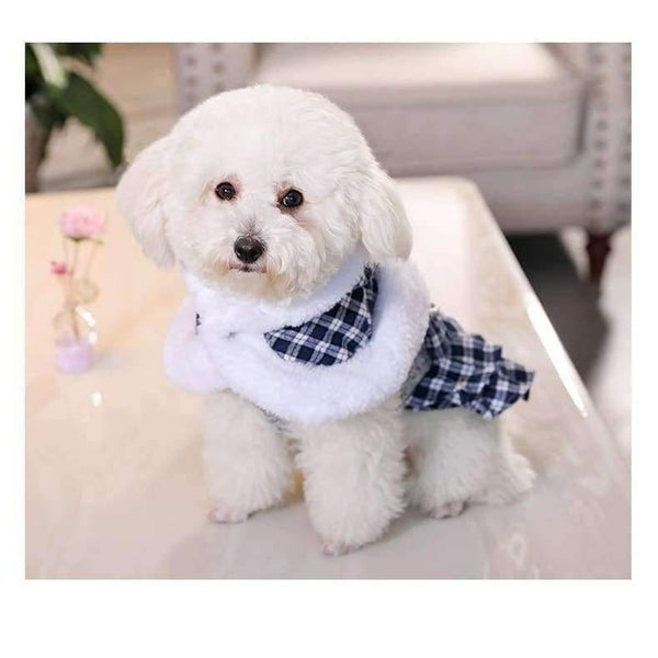 Planet Gates Gray / XS Pet Dog Clothes Cat Clothes Coat Thick Autumn Winter Dress Puppy Chihuahua Costume