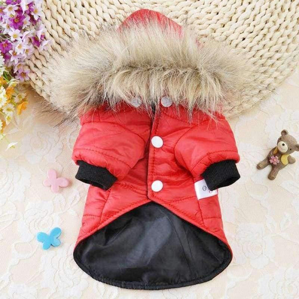 Planet Gates Green / L Small Large Dogs Clothes Wear Jacket Costume Chihuahua Coats Yorkshire For Pets Clothing With Caps8