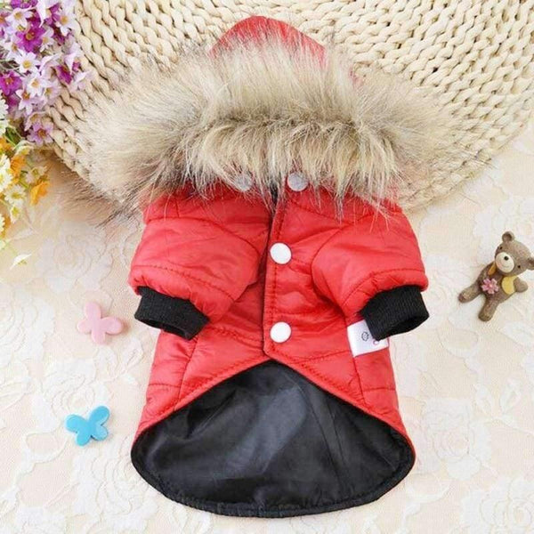 Small Large Dogs Clothes Wear Jacket Costume Chihuahua Coats Yorkshire For Pets Clothing With Caps8 - Planet Gates