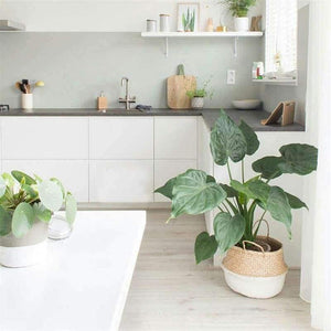 Planet Gates Green Laundry Basket 22*19cm Folding Flower Pot Sea Grass Storage Hanging Vase Home Garden Planter Dirty Clothes Organization