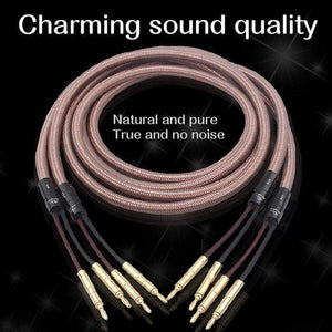 Planet Gates Grey Knight 40th Anniversary Edition HiFi Golden Voice Pure Copper Speaker Cable Main Audio Center Cable High Current