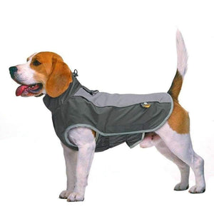 Planet Gates Grey / XXL Clothes Reflective Waterproof Pet Jacket Winter Coat Puppy Clothing For Small Medium Large Dogs Pitbull French Bulldog