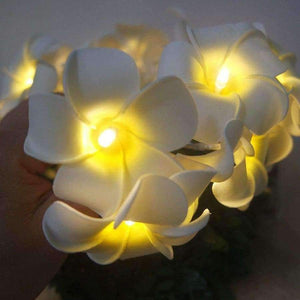 Planet Gates Handmade frangipani LED String Lights, AA battery PE floral holiday lighting,Event Party garland decoration,flower arrangement
