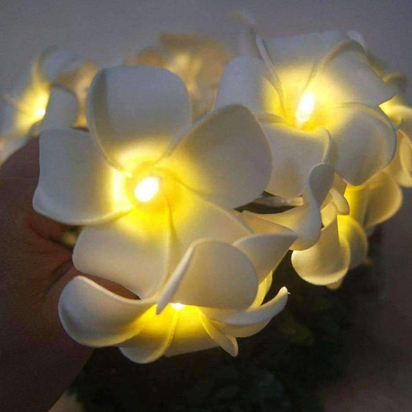 Planet Gates Handmade frangipani LED String Lights, AA battery PE floral holiday lighting,Event Party garland decoration,flower arrangement