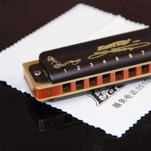 Planet Gates diatonická harmonika 10 jamek BluesA BCDEFGC# D# G# F# ústní ogan hudební nástroj Easttop harmonika