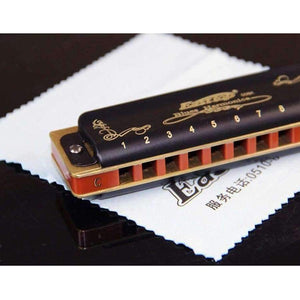 Planet Gates diatonická harmonika 10 jamek BluesA BCDEFGC# D# G# F# ústní ogan hudební nástroj Easttop harmonika