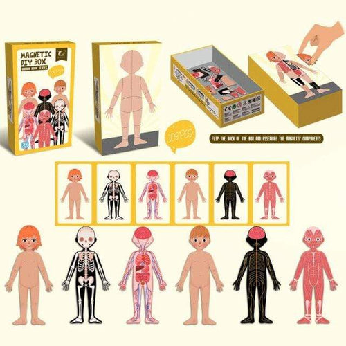 Planet Gates Human body Kids Magnetic Human Body Cognitive DIY Puzzles Early Learning Educational Toy Montessori Funny Gift For Children Dressing Jigsaw