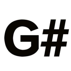 Planet Gates Ivory diatonická harmonika 10 jamek BluesA BCDEFGC# D# G# F# ústní ogan hudební nástroj Easttop harmonika