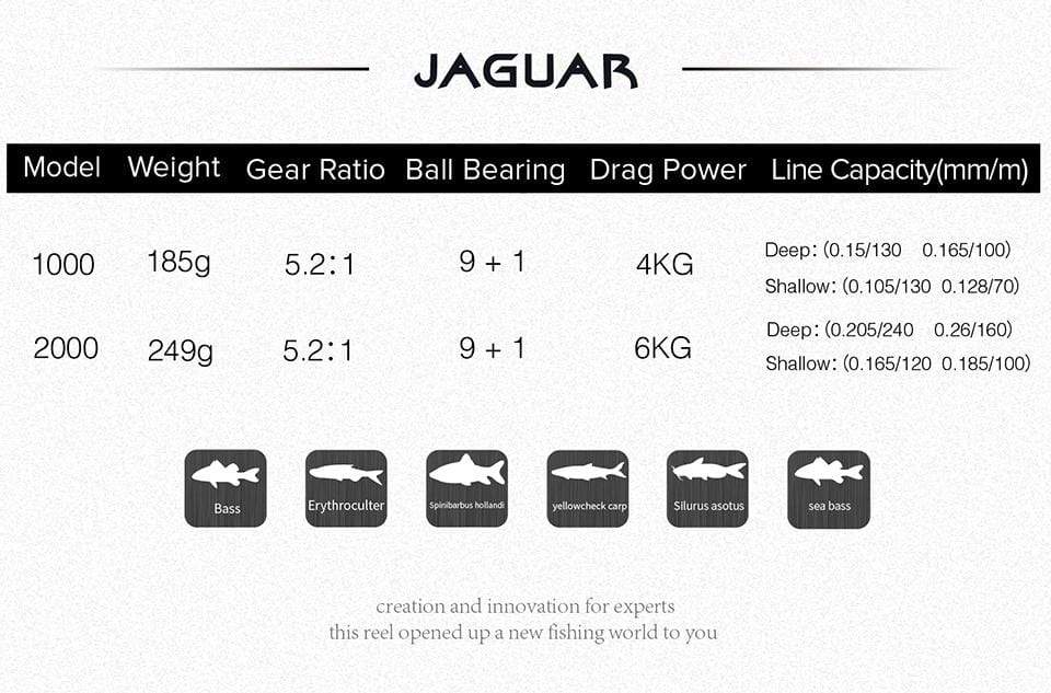Planet Gates Jaguar 1000 2000 3000 9+1BB Fishing Spinning Reel Carp Saltwater Fishing Reel Spinning Metal Handle 2 Spool Reels Coil