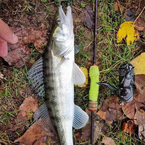 Planet Gates Jaguar 1000 2000 3000 9+1BB Fishing Spinning Reel Carp Saltwater Fishing Reel Spinning Metal Handle 2 Spool Reels Coil