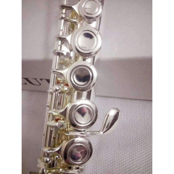 Planet Gates Japan flute 211SL musical instrument Flute 16 over C Tune and E-Key Flute music professional Free shipping