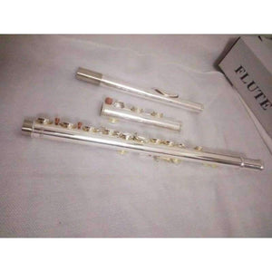 Planet Gates Japan flute 211SL musical instrument Flute 16 over C Tune and E-Key Flute music professional Free shipping