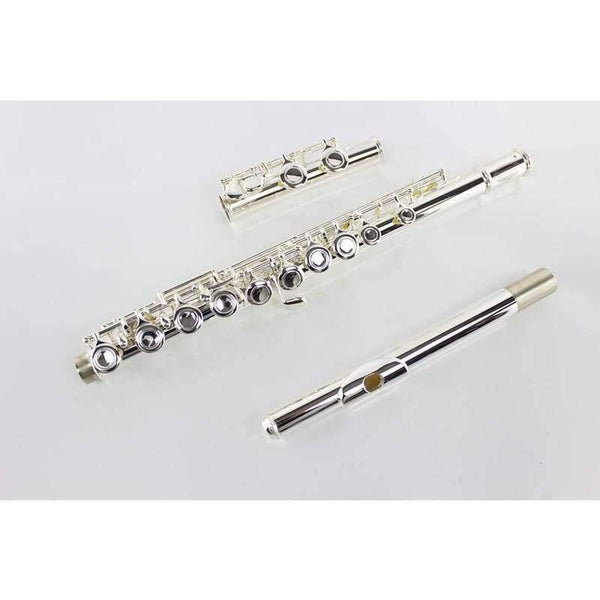 Planet Gates Japan flute 211SL musical instrument Flute 16 over C Tune and E-Key Flute music professional Free shipping