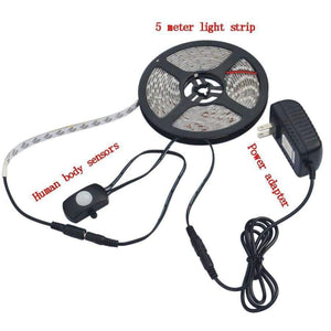 Planet Gates Jiawen PIR motion sensor strip light Waterproof DC 12V 5050 SMD Sensor led strip light + 2A adapter AC 100-240V