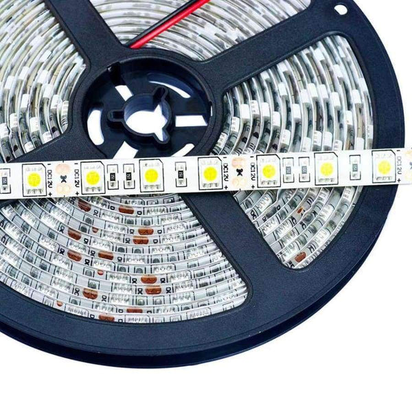 Planet Gates Jiawen PIR motion sensor strip light Waterproof DC 12V 5050 SMD Sensor led strip light + 2A adapter AC 100-240V