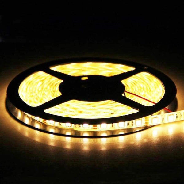 Planet Gates Jiawen PIR motion sensor strip light Waterproof DC 12V 5050 SMD Sensor led strip light + 2A adapter AC 100-240V