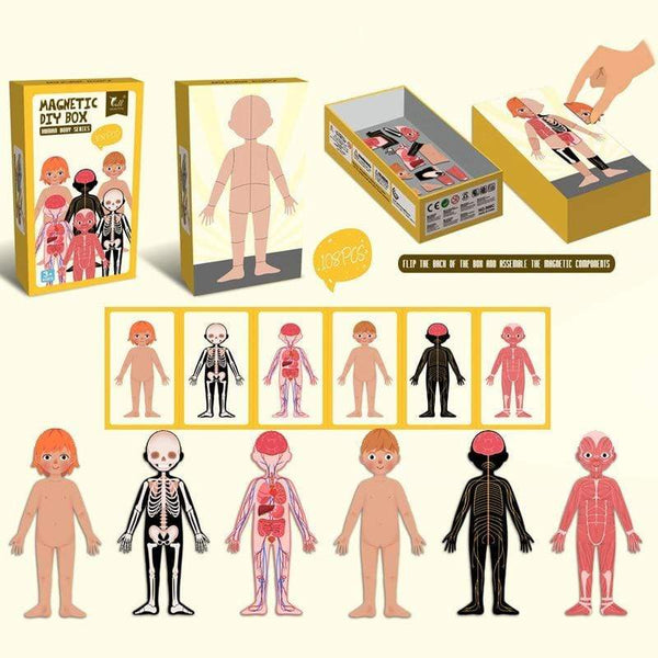 Planet Gates Kids Magnetic Human Body Cognitive DIY Puzzles Early Learning Educational Toy Montessori Funny Gift For Children Dressing Jigsaw