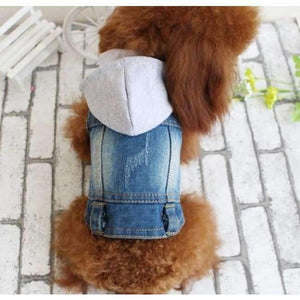 Planet Gates knit hoodie / S Embroidered Pet Clothes Hole Cowboy Jean Clothes for Small Dogs Autumn Chihuahua Dog Jacket Factory Direct Sale Dog Vests