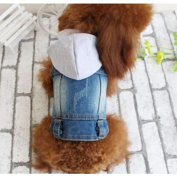 Planet Gates knit hoodie / S Embroidered Pet Clothes Hole Cowboy Jean Clothes for Small Dogs Autumn Chihuahua Dog Jacket Factory Direct Sale Dog Vests