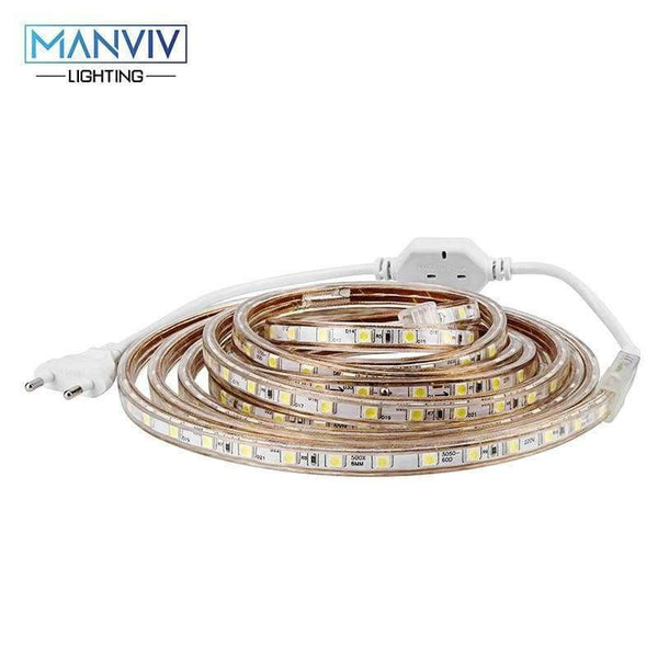 Planet Gates LED Strip 2M 3M 4M 5M 10M AC220V SMD5050 IP65 Waterproof 60LEDs/m  High Brightness Outdoor Lighting DIY For Festival Decoration