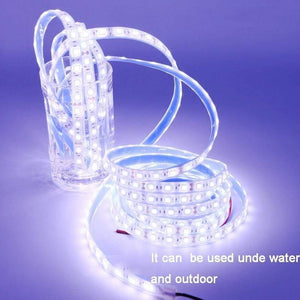 Planet Gates LED Strip 5050 IP68 Waterproof DC12V 60LED/M Outdoors LED Lighting Underwater for Swimming Pool Fish Tank Pond Fountain Bathroom