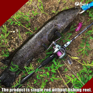 Planet Gates left handle / 12 Fishing reel super light moulinet carretilha 11+1 ball bearing Magnetic brake high quality casting reel