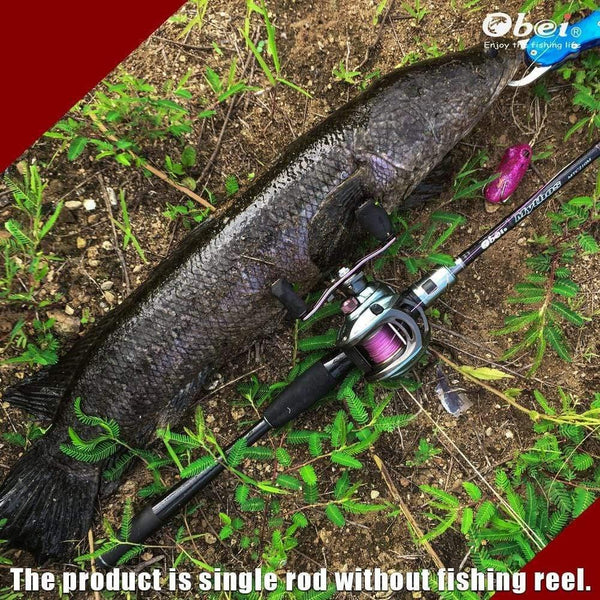 Planet Gates left handle / 12 Fishing reel super light moulinet carretilha 11+1 ball bearing Magnetic brake high quality casting reel