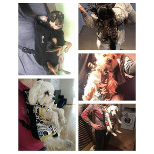 Planet Gates Leopard / S Pet Travel Bag Cat Carrier Bag for Small Dogs Pet Weight 0-10kg Five Holes Backpack Front Chest Backpack  Rainbow