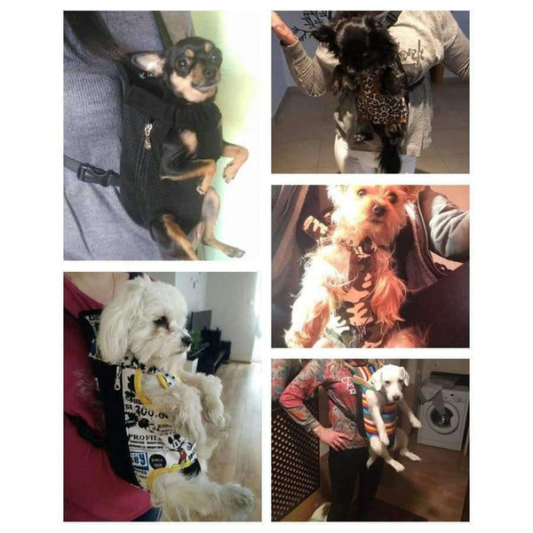 Planet Gates Leopard / S Pet Travel Bag Cat Carrier Bag for Small Dogs Pet Weight 0-10kg Five Holes Backpack Front Chest Backpack  Rainbow