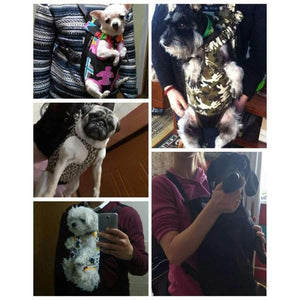 Planet Gates Leopard / S Pet Travel Bag Cat Carrier Bag for Small Dogs Pet Weight 0-10kg Five Holes Backpack Front Chest Backpack  Rainbow