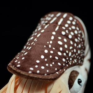 Planet Gates Lifelike Nautilus Plush Toys Real Life Chambered Nautilus Stuffed Animal Toy Soft Sea Life Toys Gifts For Kids