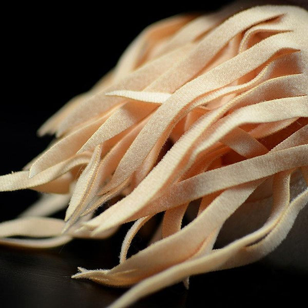 Planet Gates Lifelike Nautilus Plush Toys Real Life Chambered Nautilus Stuffed Animal Toy Soft Sea Life Toys Gifts For Kids