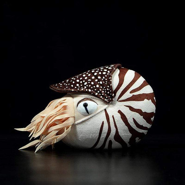 Planet Gates Lifelike Nautilus Plush Toys Real Life Chambered Nautilus Stuffed Animal Toy Soft Sea Life Toys Gifts For Kids