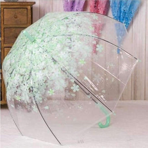 Planet Gates Light Green Fashion Transparent Clear Umbrella Cherry Blossom Mushroom Apollo Princess Women Rain Umbrella Sakura Long Handle Umbrellas