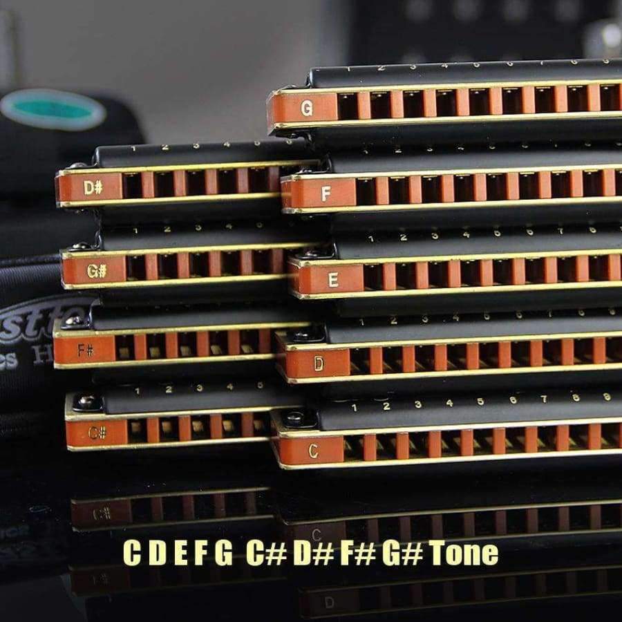 Planet Gates Light Grey Harmonica Diatonic 10 Holes  BluesA B C D E F G  C#  D# G# F# Mouth Ogan Musical Instrument Easttop Harmonica