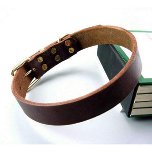 Planet Gates M Leather Pet Dog Collar For Big Dog High Quality Pet Products Dog Pet Collar Genuine Leather Collar 11654