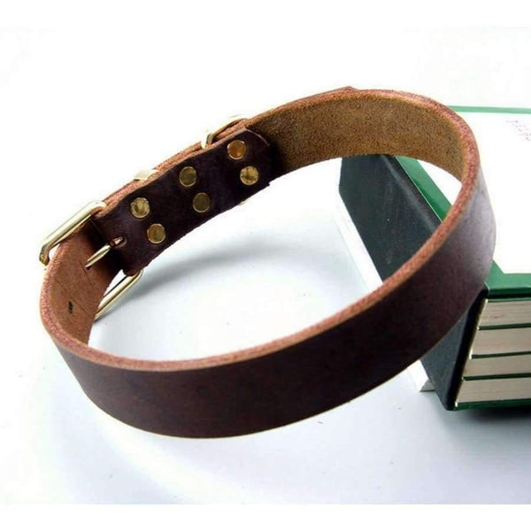 Planet Gates M Leather Pet Dog Collar For Big Dog High Quality Pet Products Dog Pet Collar Genuine Leather Collar 11654