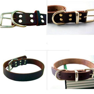 Planet Gates M Leather Pet Dog Collar For Big Dog High Quality Pet Products Dog Pet Collar Genuine Leather Collar 11654